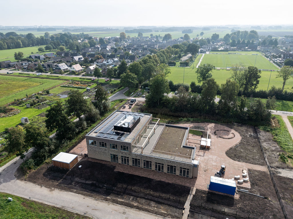 Lisdodde (16)